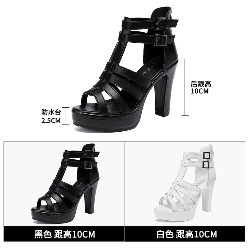 Gladiator Ladies Shoe for Wome - Luxury Lifestyle Shoes のレビューと価格